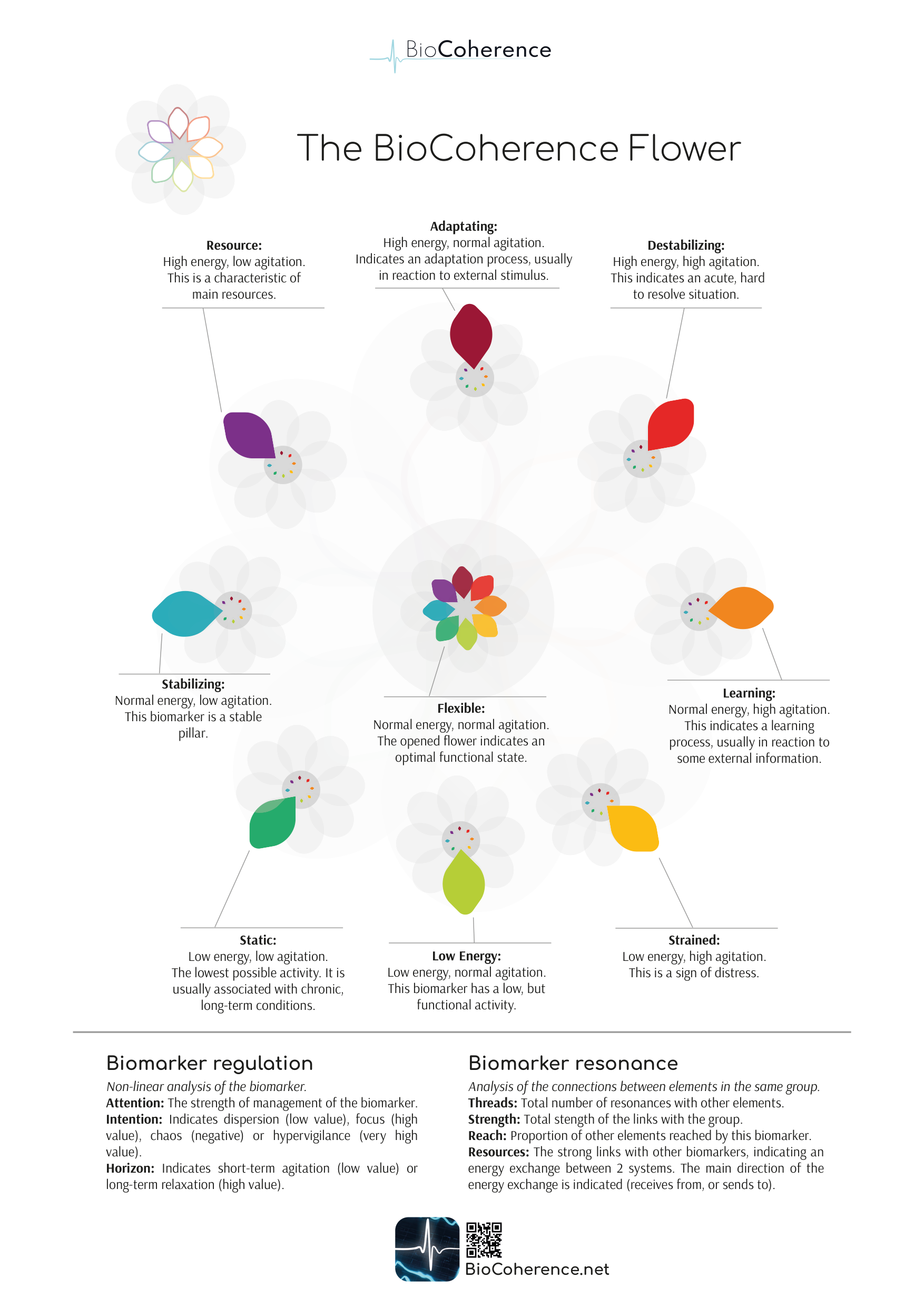 BioCoherence Flower States - 9 biomarker states showing energy level and agitation patterns
